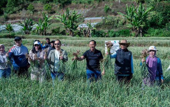 Satgas Pangan Polri Perkuat Swasembada Bawang Putih, Lahan Tanam di Sembalun Capai 534 Hektare