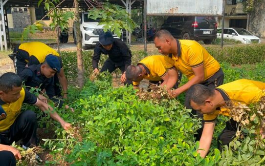 Brimob Polda Metro Jaya Panen Hasil Program Ketahanan Pangan